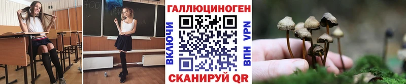 Псилоцибиновые грибы мицелий  Комсомольск 